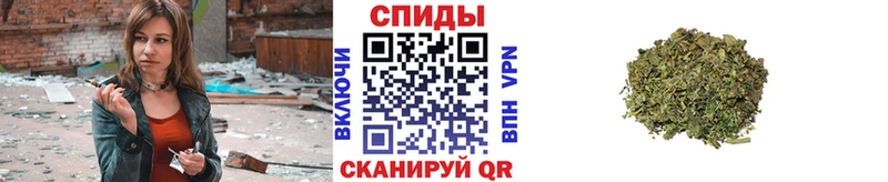 цены   Кунгур  Бутират BDO 