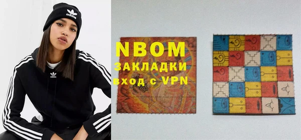 соль ск Няндома