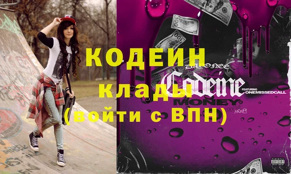соль ск Няндома