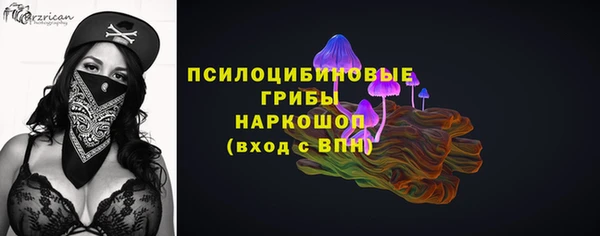 стафф Новодвинск