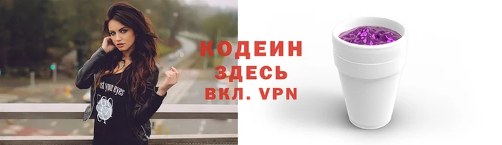 соль ск Няндома