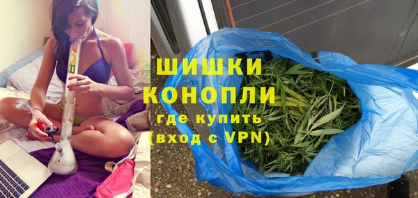 соль ск Няндома