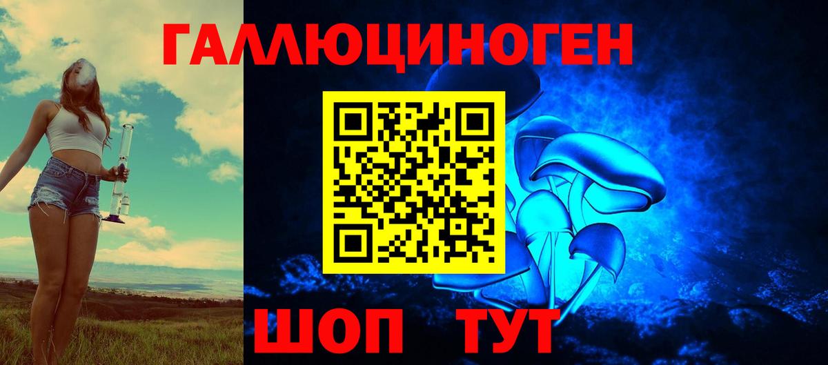 Галлюциногенные грибы Psilocybine cubensis  Псилоцибиновые грибы MAGIC MUSHROOMS  Вход с VPN  Кунгур 